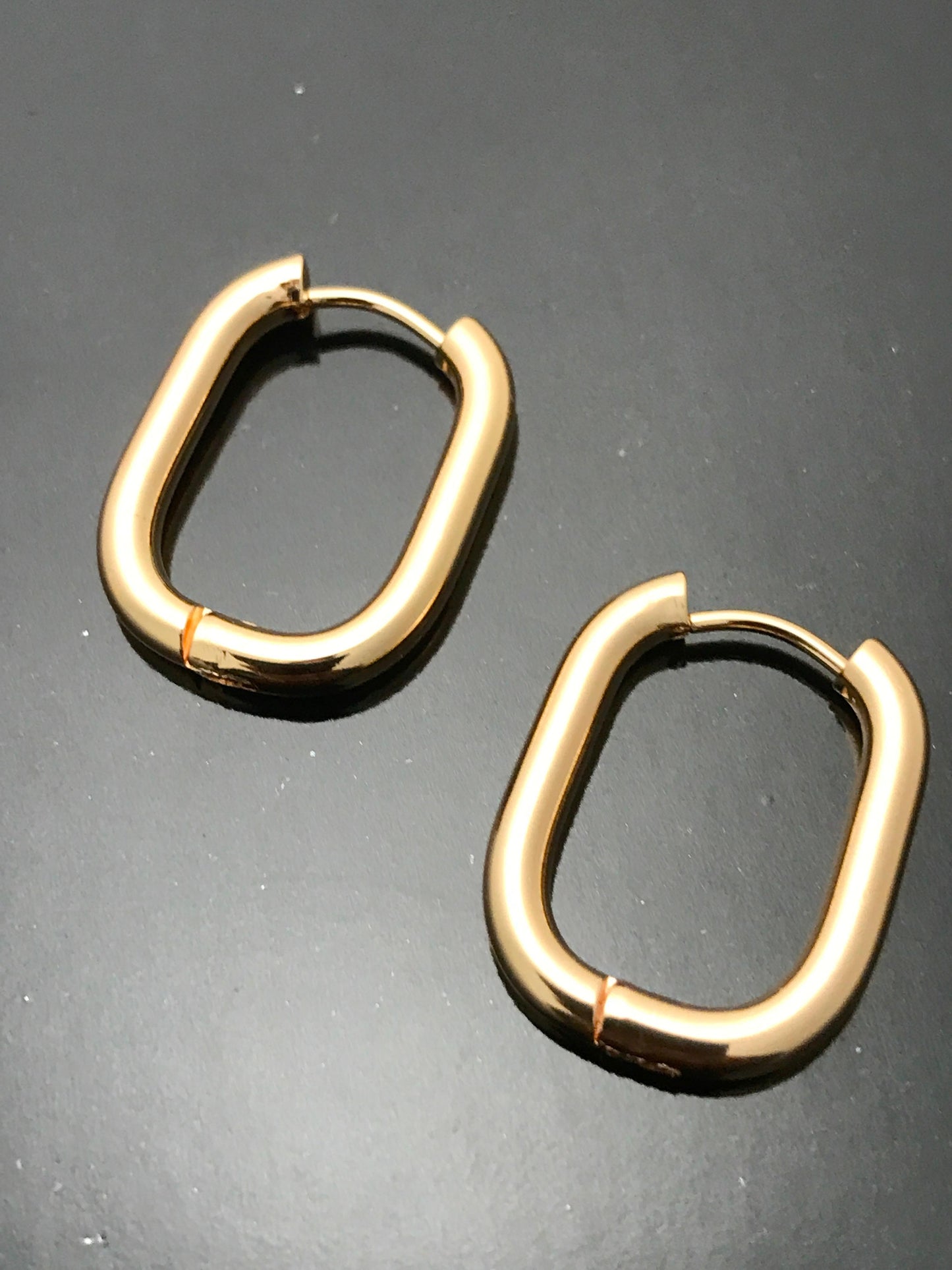 Oval Hoop Earrings